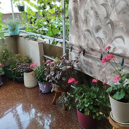 House In Borjomi Hotel Стая снимка