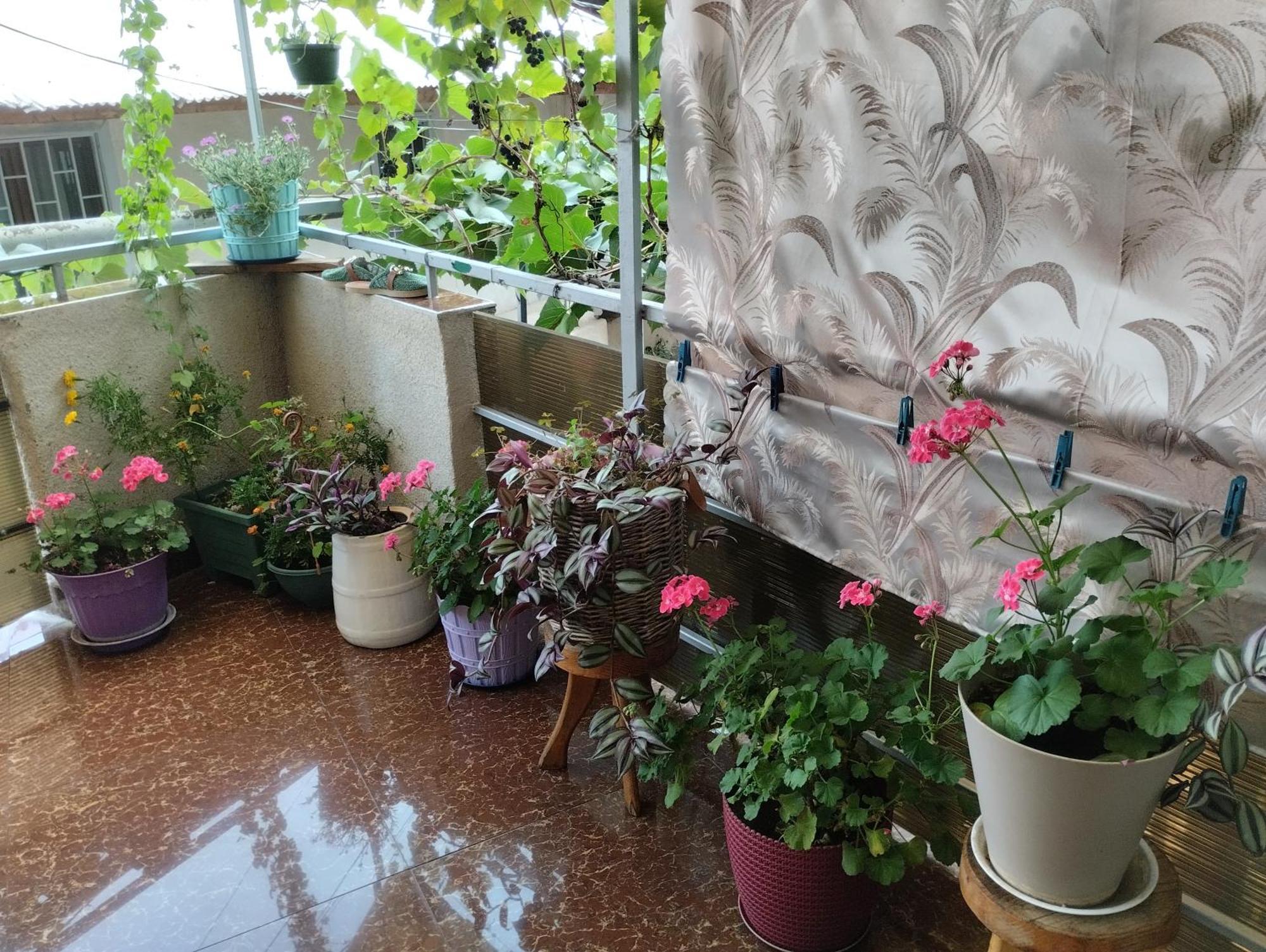 House In Borjomi Hotel Стая снимка